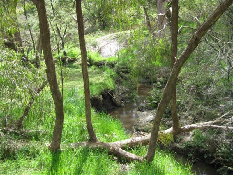 670 Springs Road, Caveat VIC 3660