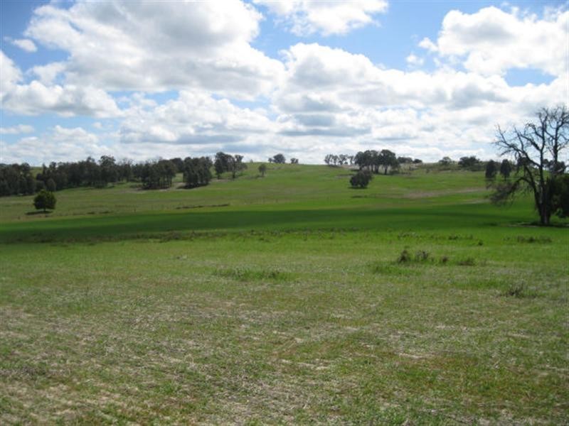 670 Springs Road, Caveat VIC 3660