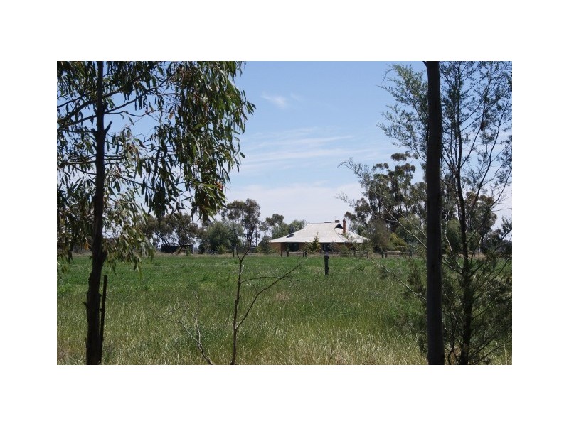 1438 Hartwood Rd, Deniliquin NSW 2710