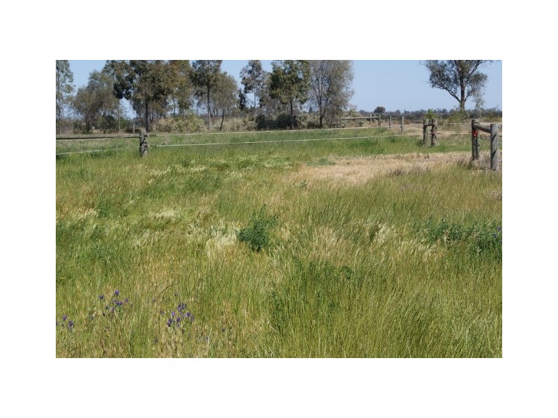 1438 Hartwood Rd, Deniliquin NSW 2710