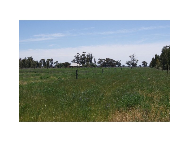 1438 Hartwood Rd, Deniliquin NSW 2710