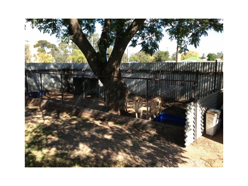 275 MURRAY ST, Finley NSW 2713