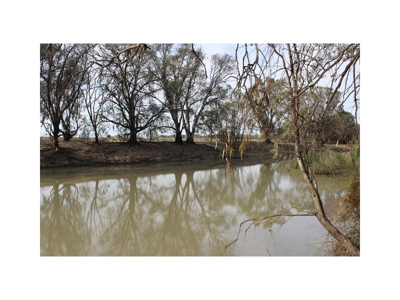 16 El Alamein Avenue, Swan Hill VIC 3585