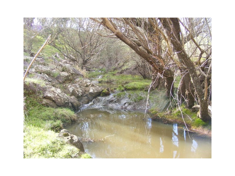 147 Spring Creek Road, Taradale VIC 3447