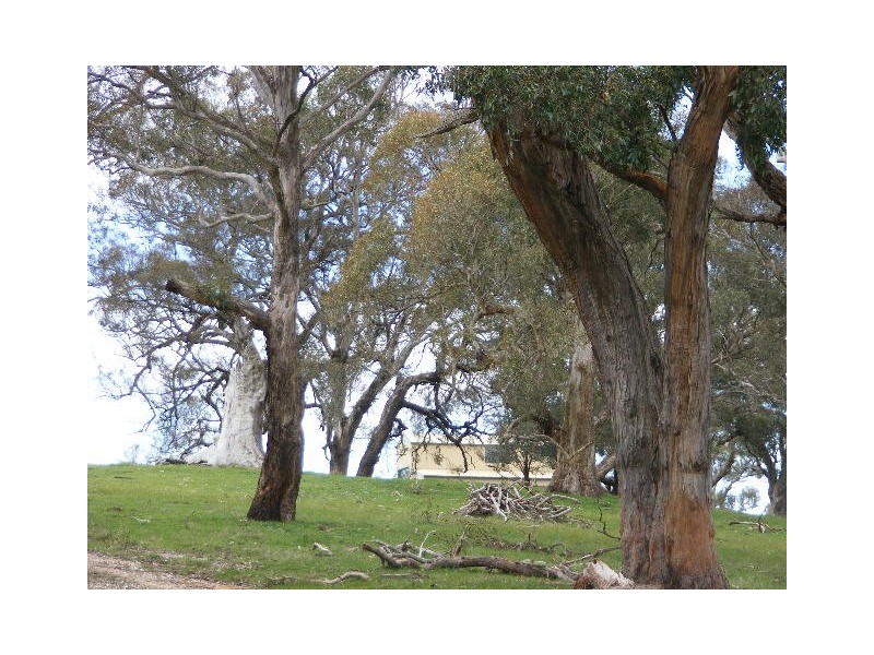 147 Spring Creek Road, Taradale VIC 3447