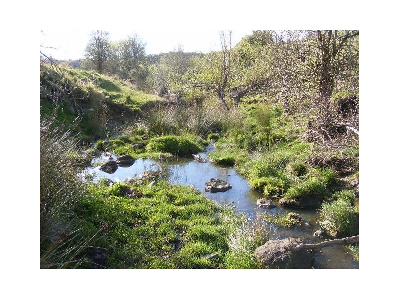 147 Spring Creek Road, Taradale VIC 3447