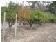 4185 Ararat – Halls Gap Rd, Halls Gap VIC 3381
