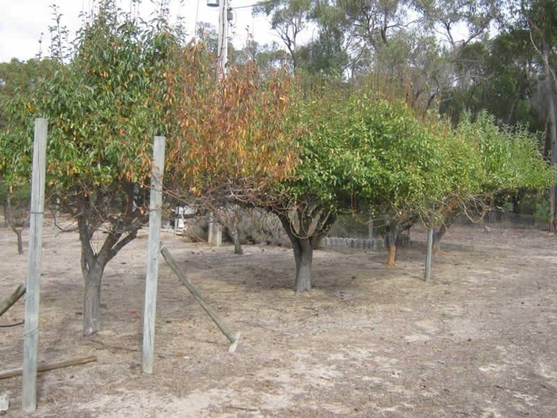 4185 Ararat – Halls Gap Rd, Halls Gap VIC 3381