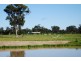 134 Byers Road Tamleugh, Euroa VIC 3666