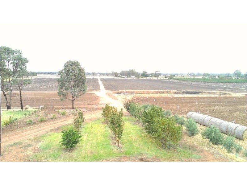 127 Louttits Lane, Koraleigh NSW 2735