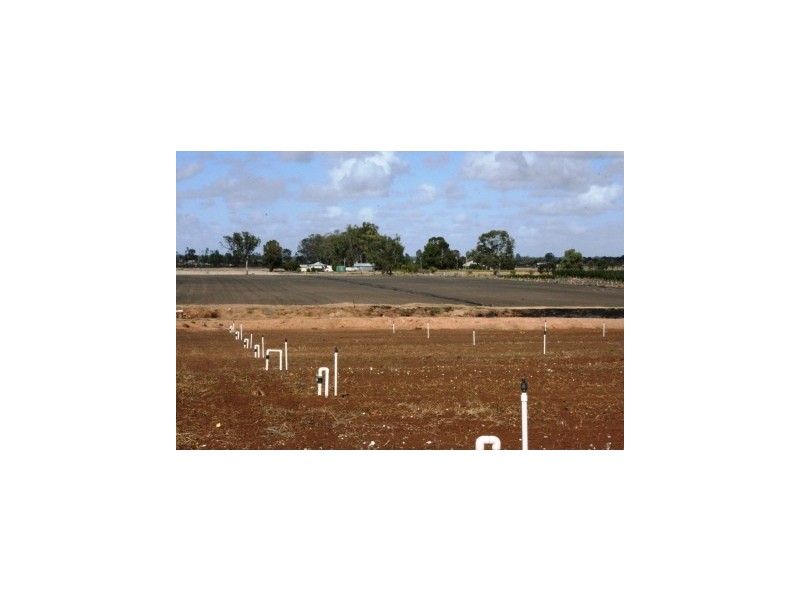 127 Louttits Lane, Koraleigh NSW 2735