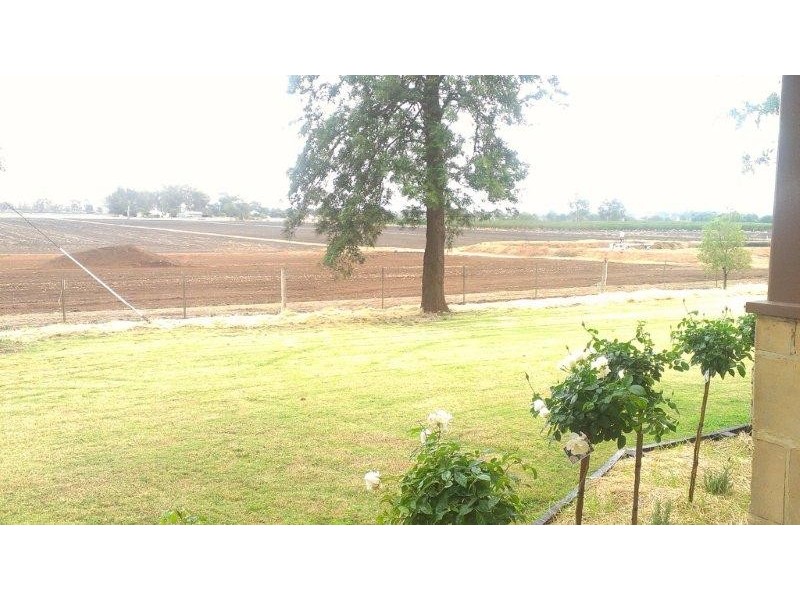 127 Louttits Lane, Koraleigh NSW 2735