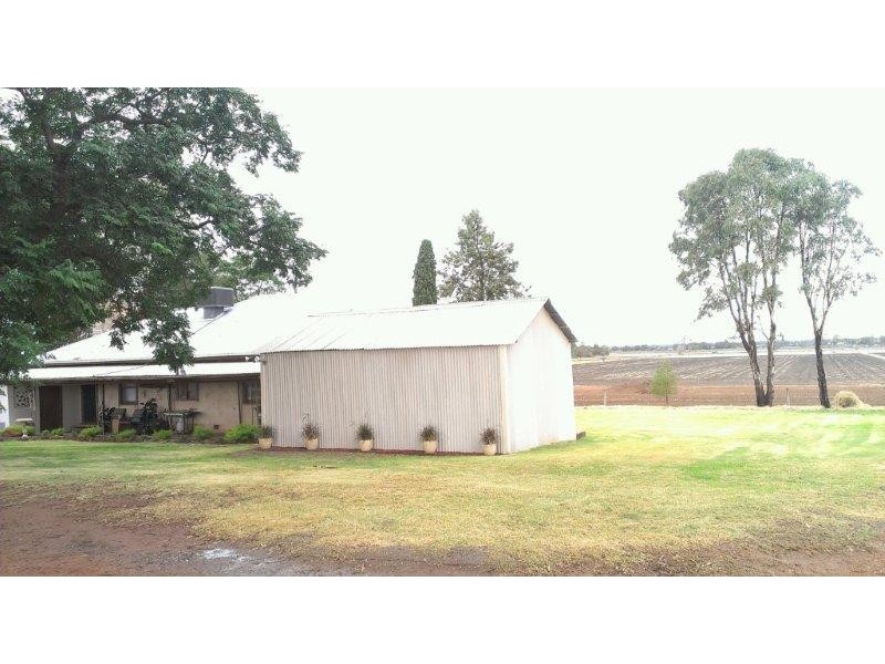 127 Louttits Lane, Koraleigh NSW 2735