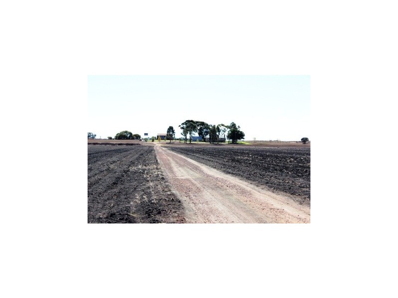 127 Louttits Lane, Koraleigh NSW 2735