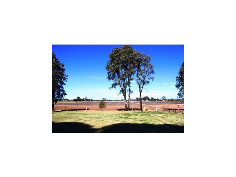 127 Louttits Lane, Koraleigh NSW 2735