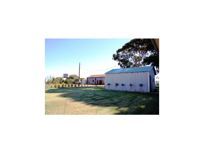 127 Louttits Lane, Koraleigh NSW 2735