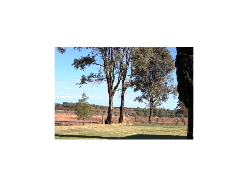 127 Louttits Lane, Koraleigh NSW 2735