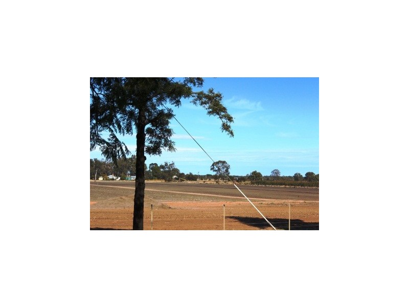 127 Louttits Lane, Koraleigh NSW 2735