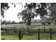 Mansfield VIC 3722