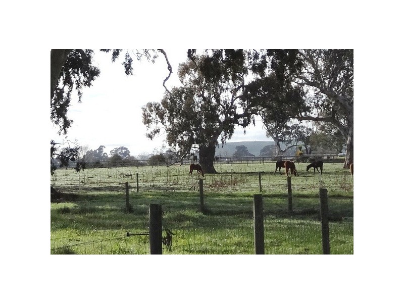 Mansfield VIC 3722