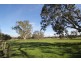 Mansfield VIC 3722