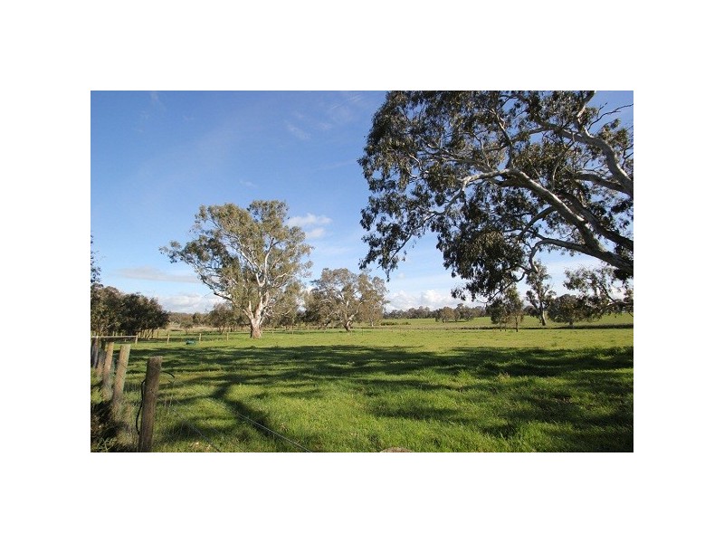 Mansfield VIC 3722