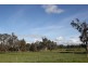 Mansfield VIC 3722