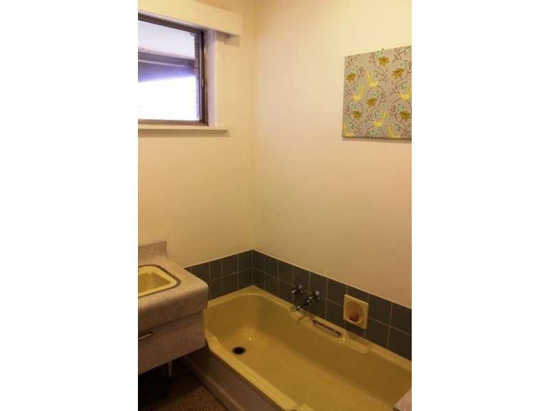 29 Wattie Street, Swan Hill VIC 3585