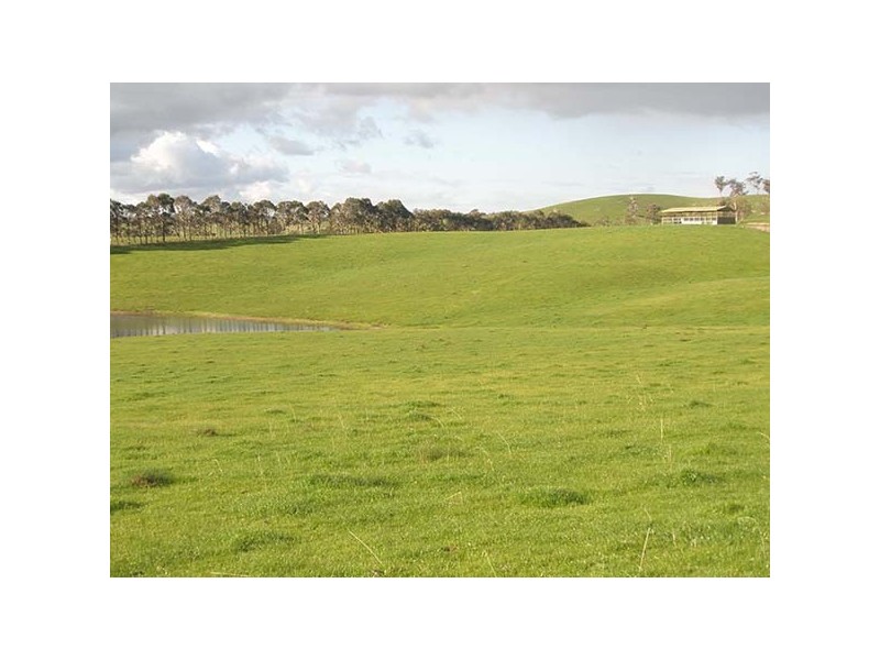 Seymour VIC 3660