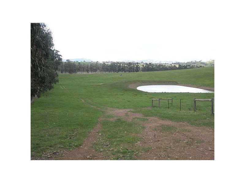 Seymour VIC 3660