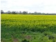 Echuca VIC 3564