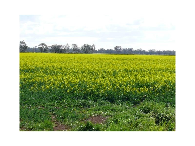 Echuca VIC 3564