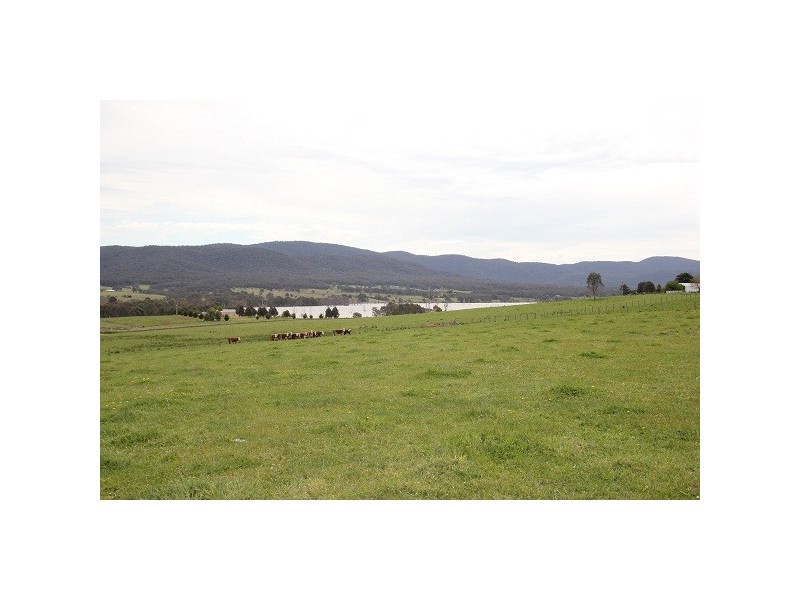 Mansfield VIC 3722