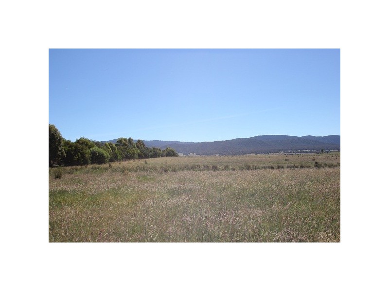 Mansfield VIC 3722