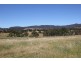 Mansfield VIC 3722