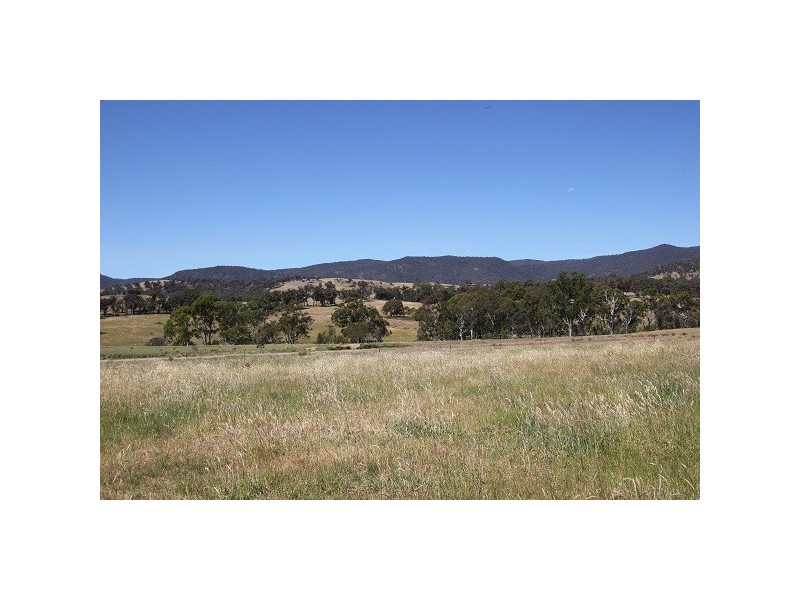 Mansfield VIC 3722