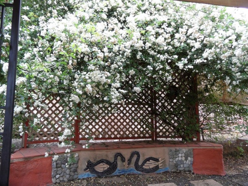 Hidden Valley VIC 3756