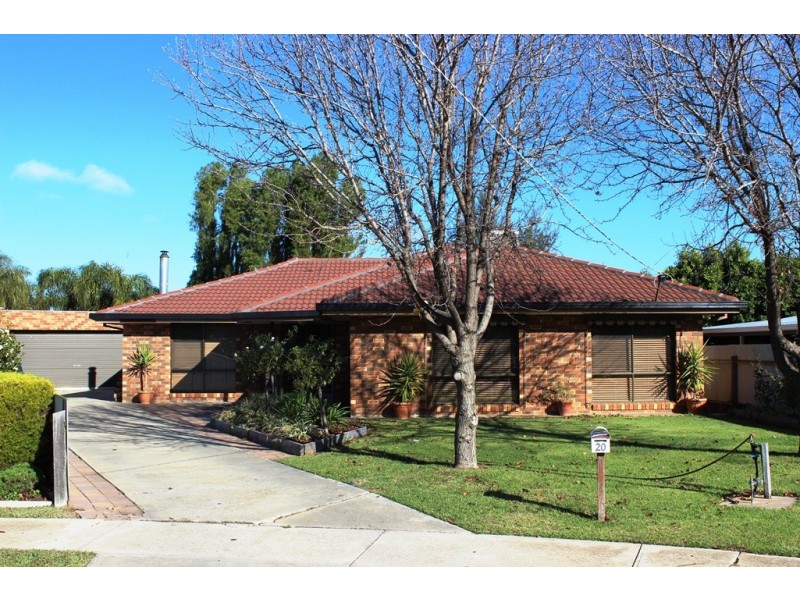 20 Cobham Avenue, Swan Hill VIC 3585