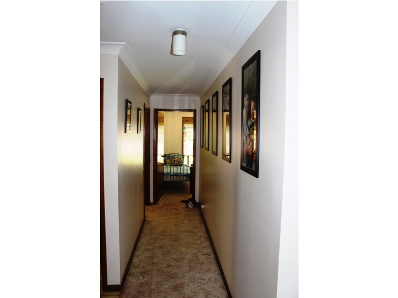 20 Cobham Avenue, Swan Hill VIC 3585