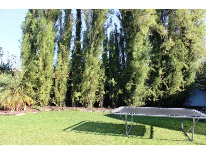 20 Cobham Avenue, Swan Hill VIC 3585