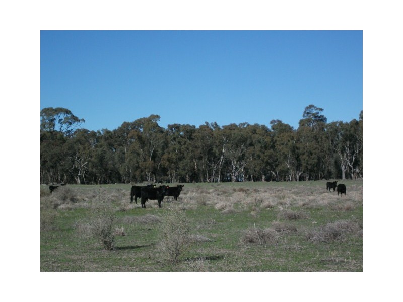 00 Newmarket Station, Hay NSW 2711