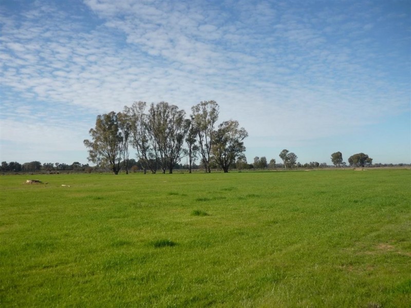 1910 Kerang-Koondrook Road, Koondrook VIC 3580