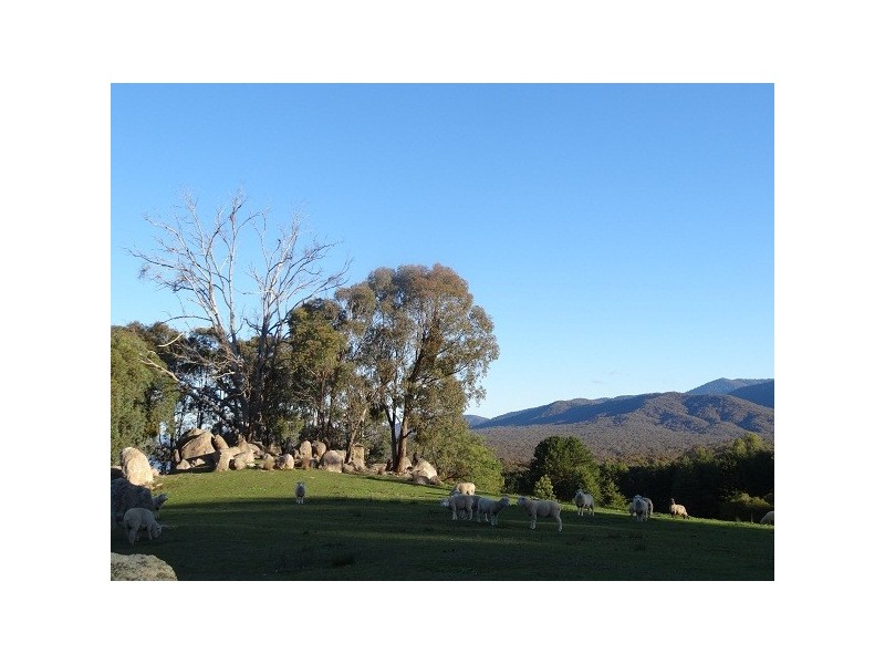 Lima South VIC 3673