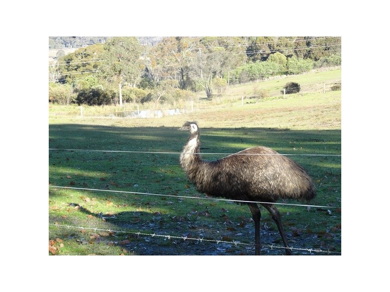 Lima South VIC 3673