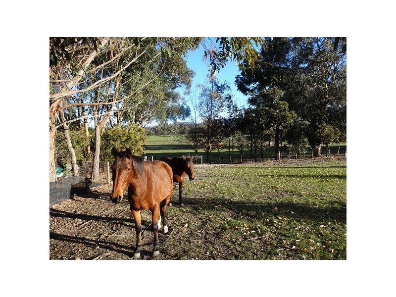 Lima South VIC 3673