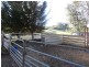 Lima South VIC 3673