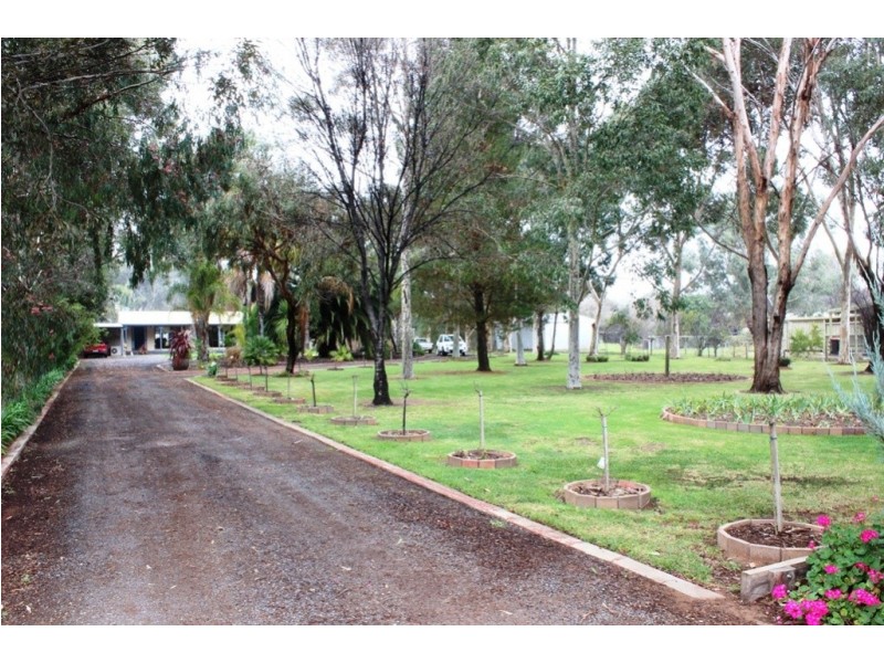 199 Gray Street, Swan Hill VIC 3585