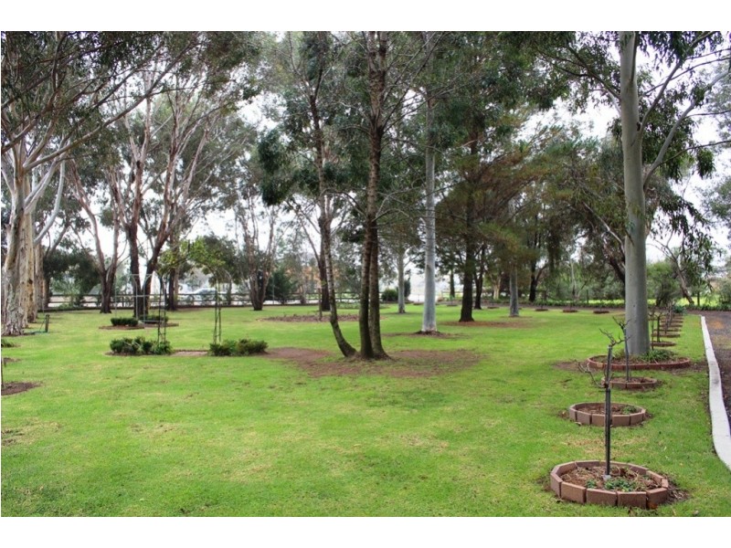 199 Gray Street, Swan Hill VIC 3585