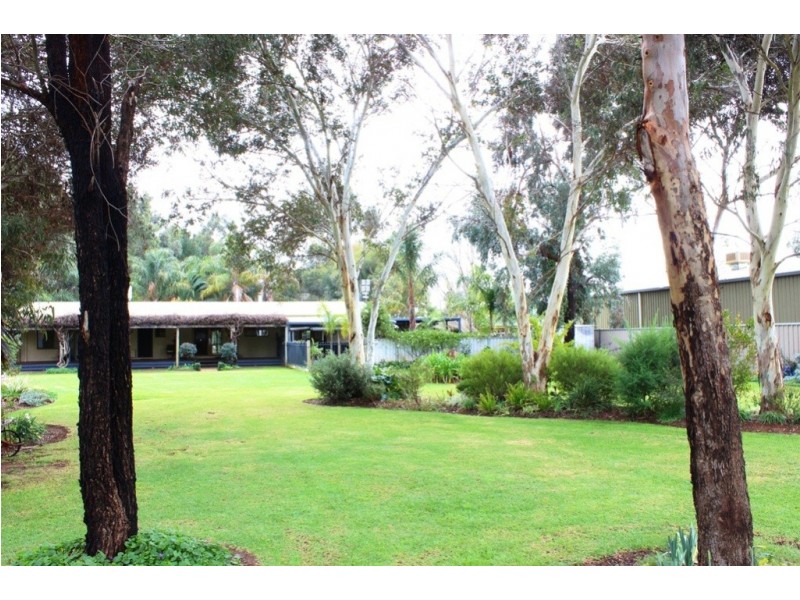 199 Gray Street, Swan Hill VIC 3585