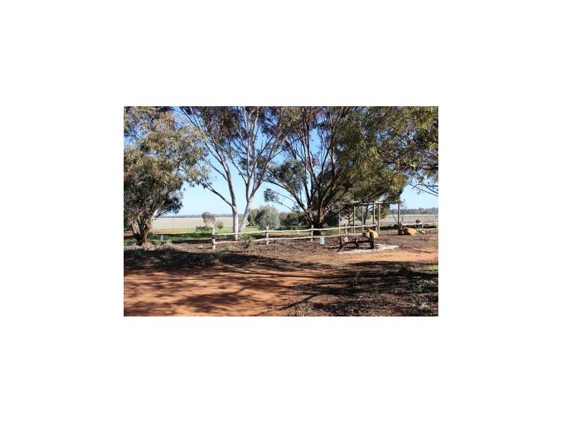 5 Speewa Road, Koraleigh NSW 2735